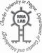 RNAlab logo